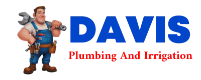 Trusted plumber in RISING CITY